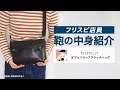 【what's  in my bag??】スタッフの私物紹介（鞄の中身紹介）を徹底調査！！