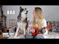 My Husky Critiques My Ukulele Playing! Nearly FALLS Off The Chair!