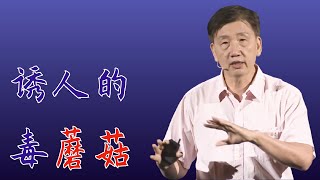 310｜李泰辉：危险危险危险！这些“吃完躺板板”的“白杆杆”就在你身边？｜广东省科学院微生物研究所｜格致SELF