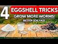 4 Secret Eggshell Tricks That Grow More Worms & Richer Soil (Science-Backed Results)