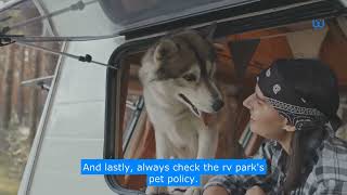 NEW TO RVING? HOW TO CHOOSE THE RIGHT DOG-FRIENDLY RV| Waggle #rv #rvlife #rvdog #rvliving #waggle