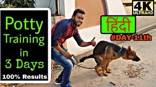 Easy way to Potty Train your Puppy or Dog in (HINDI) 4K || Smart Dog Training