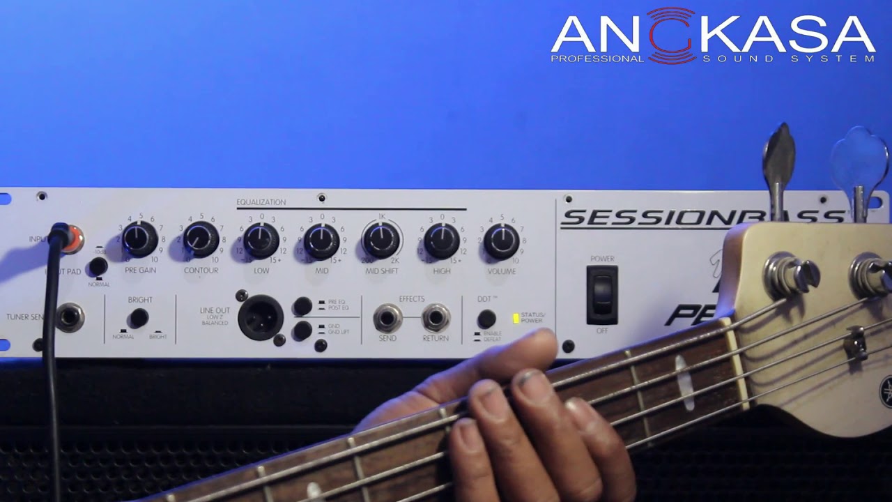 PEAVEY SESSION BASS Head super affordable price, plenty in