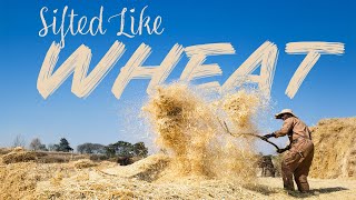 Live Sabbath Services Sifted Like Wheat July 5th 2025