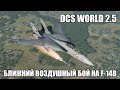 DCS World 2.5 | F-14B | Ближний воздушный бой