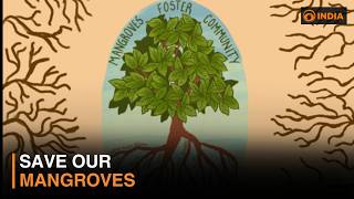 International Mangrove Day 2026 | Why Mangroves Are Vital for Our Planet