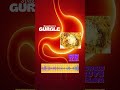 Spaghetti Gurgle #ASMR #OddlySatisfying #DailyGurgle #Digestion #Gurgle