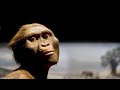 All of the australopithecines explained