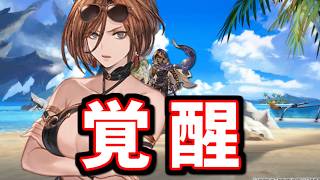 突如、長期戦でも輝くようになった“恒常キャラ”がいる件【グラブル】
