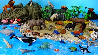 Island Diorama and Wildlife Animal Figurines - Learn Animal Names