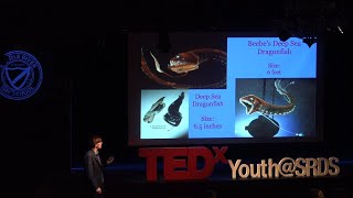 The unsolved mysteries of the ocean | Michael Pasenchuck | TEDxYouth@SRDS