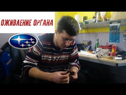 ОЖИВЛЕНИЕ мертвого стеклоподъемника! Subaru Forester