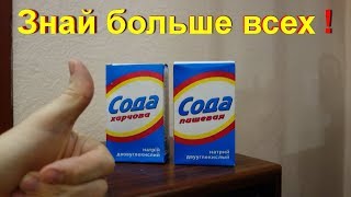 Как правильно пить и принимать настоящую пищевую соду при мигрени и головных болях? А ты это знал? Как правильно пить и принимать настоящую пищевую соду при мигрени и головных болях? А ты это знал?