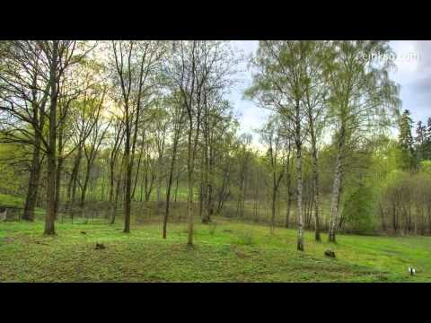 1 წელი 40 წამში