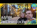 АЛЛЕЯ ТЫСЯЧИ СОСЕН В ГОРЯЧЕМ КЛЮЧЕ | МЫ В ВОСТОРГЕ