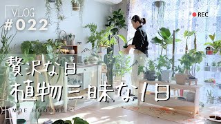 【植物に１日を使う】植物時間はあっという間に過ぎて行く（Vlog/021）