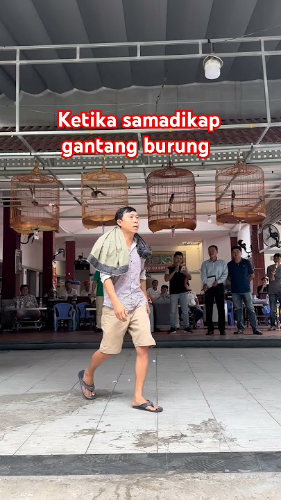 Murai batu gantangan di negeri Thailand 🤔 dilarang komen ngawur khapp