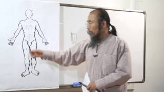 조규문박사의 편한 동영상 관상학   수상과 손금 배우기   1 팔과 손의 상