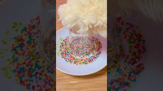 Rainbow Milkshake - Shake with Sprinkles  #shorts#tiktok  #cooking hacks  #dog #mangolhasa