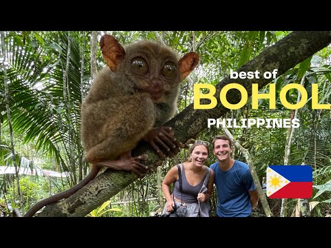 ვიდეო: როგორ მივიდეთ მანილიდან ბოჰოლში, ფილიპინები
