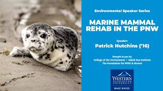Marine Mammal Rehab in the PNW