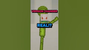 Is The Melon Playground Version Changer Real!? 😳↕️