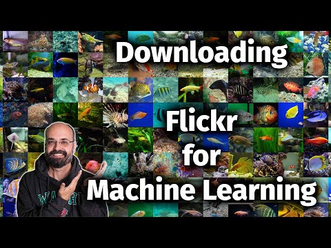 How to Download Flickr Images by Keyword for Machine Learning Projects with Python