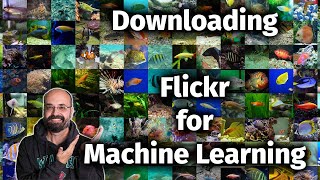 How to Download Flickr Images by Keyword for Machine Learning Projects with Python screenshot 5