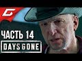 DAYS GONE (Жизнь После) ➤ Прохождение #14 ➤ ПРОШЛОЕ НЕ ОТПУСТИТ