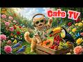 Pets Love This Video! 🔥🐦😺🐶 Stunning Birds Everywhere | Nature TV for Cats & Dogs 4K HDR