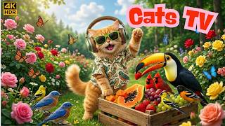 Pets Love This Video! 🔥🐦😺🐶 Stunning Birds Everywhere | Nature TV for Cats &amp; Dogs 4K HDR