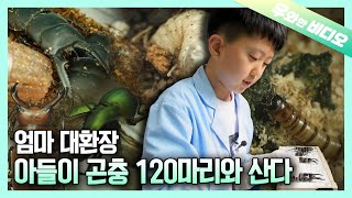 A 12-Year-Old Boy and 120 Insects' Strange Cohabitation