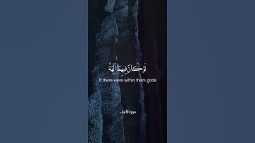 من سورة الأنبياء للقائد محمد صديق المنشاوي #سورة الانبياء#المنشاوي#عبد الرحمان مسعد#اسلام صبحي