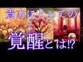 貴方にとって覚醒とは⁉️ご自身の認識との擦り合わせにご利用下さいませ🌈タロット&オラクル