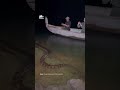 Anaconda Sorprende a Turistas en Surinam