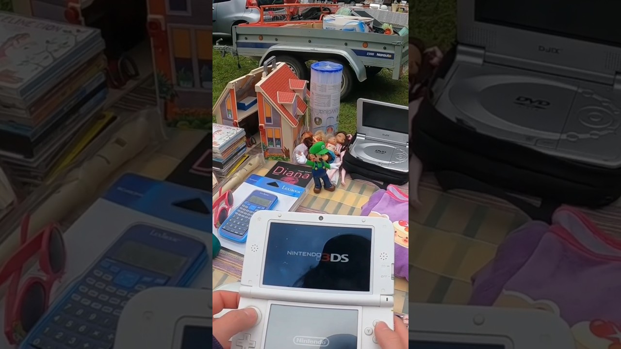 Une 3DS XL en vide grenier 😱 