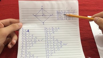 Algoritmo de Robert e Flores - Teoria dos Grafos