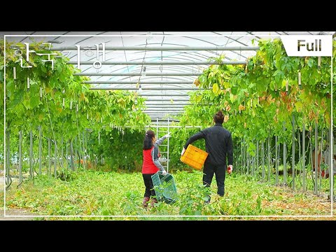 [<strong>Full</strong>] 한국기행 부자의 <strong>비밀</strong> - 4부 나의 가장 큰 재산 20170413