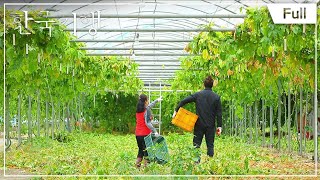 [Full] 한국기행 부자의 비밀 - 4부 나의 가장 큰 재산 20170413