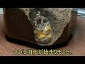 [HD] カブトムシ 幼虫飼育 ④羽化