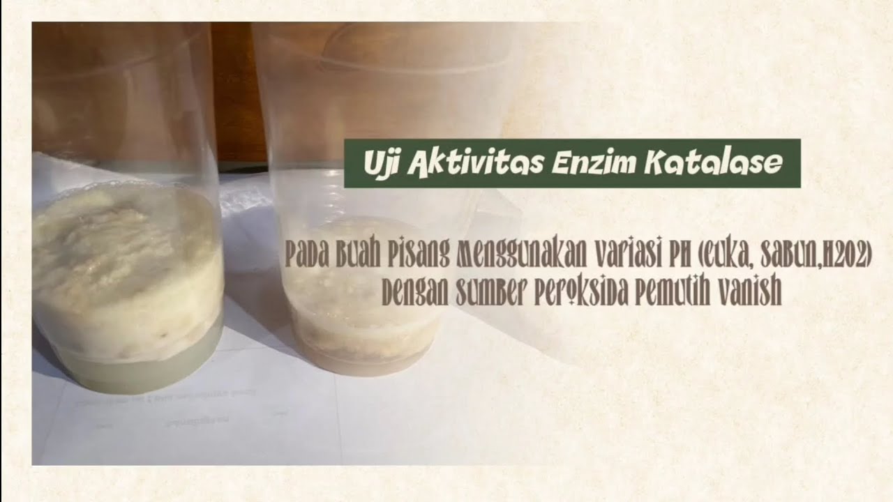 Sabun H2o2 Uji Aktivitas Enzim Katalase Buah Pisang Menggunakan Variasi pH ...