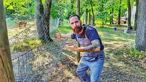 What Else Could Go Wrong With Our Goat Fence || Goat Fence Build Finale