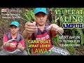 MENJERAT BABI HUTAN (PART 2) - tali paling ampuh untuk buat jerat || versi dusun tinagas