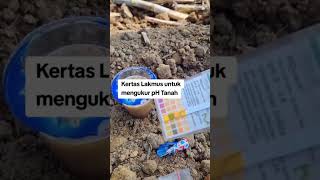KERTAS LAKMUS SANGAT TEPAT UNTUK MENGUKUR PH TANAH#didikrudiyanto #gurutani75channel