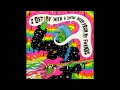 The Flaming Lips - With a Little Help from My Fwends