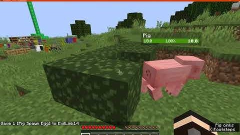 Pitfalls 1.15.2 Forge Mod Overview