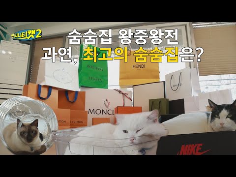 [ENG] 고양이 액체설 진짜일까..?ㅣ최고의 숨숨집을 찾아서🛸ㅣ인피니티캣2 3화
