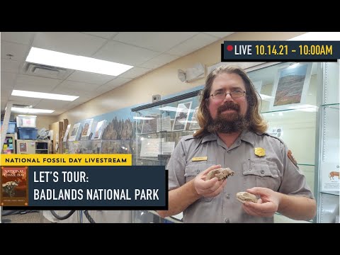 Video: Labākais laiks Bādlendas nacionālā parka apmeklēšanai