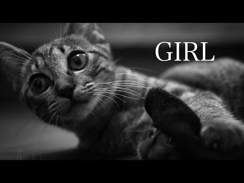 歌が下手くそすぎたGIRL / TM NETWORK【下僕の写真と宅録7】