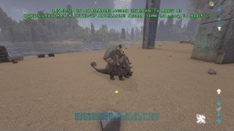 ARK: logic #11